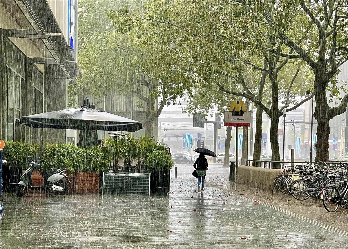 l'écologie urbaine